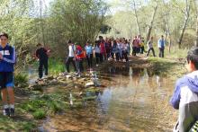 IES Máximo Laguna, 2ºESO, Curso 2014-15